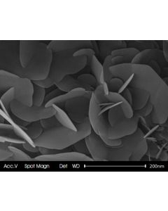 SEM 1/2 - Scanning Electron Microscopy of BN-101 boron nitride microparticles nanopowder 120 nm 99.9 %