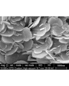 SEM - Scanning Electron Microscopy of BN-102 boron nitride microparticles nanopowder 500 nm 99.9 %