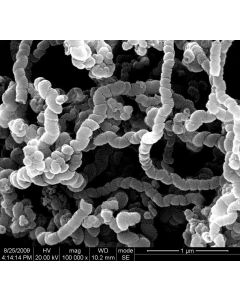 SEM - Scanning Electron Microscopy of CNT-101 carbon nanotubes powder 100-200 nm 90 % - helical