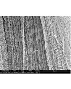 SEM 1/3 - Scanning Electron Microscopy of CNT-110 carbon nanotubes powder 10-20 nm 98 wt% - aligned