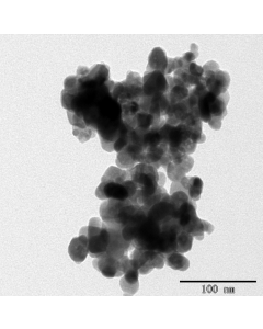 SEM - Scanning Electron Microscopy of CoFe2O4-100 cobalt ferrite nanoparticles nanopowder 20-30 nm 99.5 %