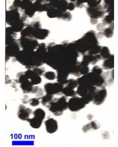 TEM - Transmission Electron Microscopy of CoFe2O4-400 cobalt ferrite nanoparticles nanopowder 35-55 nm 98 %