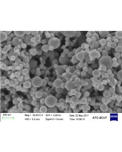 SEM - Scanning Electron Microscopy of Cr2O3-100 chromium oxide nanoparticles nanopowder 50 nm 99.9 %
