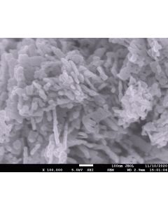 SEM - Scanning Electron Microscopy of CuO-140 copper oxide nanoparticles nanopowder/dispersion 50 nm 99.5 %