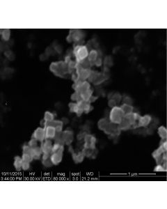 SEM - Scanning Electron Microscopy of Fe3O4-113 iron oxide microparticles nanopowder 300 nm 99.9 %