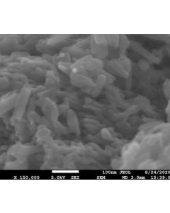SEM - Scanning Electron Microscopy of MoO3-101 molybdenum oxide nanoparticles nanopowder 100 nm 99.9 %