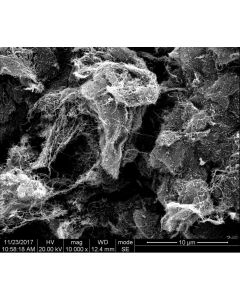 SEM - Scanning Electron Microscopy of MWCNT-103-HEC-COOH multi walled carbon nanotubes powder 10-20 nm 90 wt% - high electrical conductivity - carboxyl functionalized