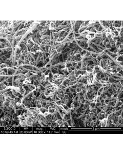 SEM - Scanning Electron Microscopy of MWCNT-106 multi walled carbon nanotubes powder 20-40 nm 95 wt%