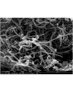 SEM - Scanning Electron Microscopy of MWCNT-110 multi walled carbon nanotubes powder 30-60 nm 70 %