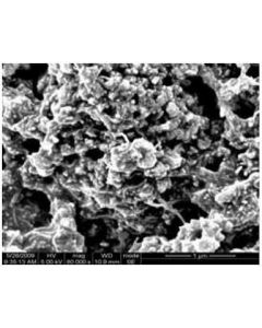 SEM - Scanning Electron Microscopy of MWCNT-115 multi walled carbon nanotubes powder 10-20 nm