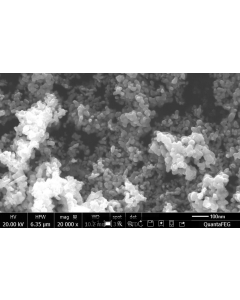 SEM - Scanning Electron Microscopy of Pt-110 platinum nanoparticles nanopowder 3 nm 99.95 %