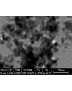 SEM - Scanning Electron Microscopy of SiC-101 silicon carbide nanoparticles nanopowder 50 nm 99.9 % - alpha