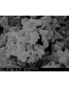SEM - Scanning Electron Microscopy of SiC-111 silicon carbide nanoparticles nanopowder 100-200 nm 99 %