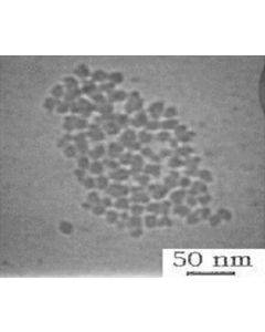 SEM - Scanning Electron Microscopy of SiO2-101 silica nanoparticles nanopowder 20-30 nm 99.8 % - amorphous