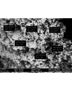 SEM - Scanning Electron Microscopy of SiO2-105 silica nanoparticles nanopowder 60-80 nm 99.8 %