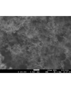 SEM - Scanning Electron Microscopy of SiO2-113 silica nanoparticles nanopowder/dispersion 10-20 nm 99.5/99.8 %