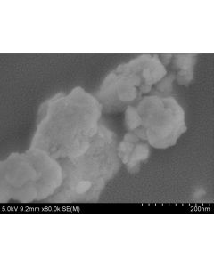 SEM - Scanning Electron Microscopy of Ta2O5-100 tantalum oxide microparticles nanopowder 150 nm 99.99 %