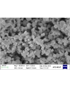 SEM - Scanning Electron Microscopy of Ti-110 titanium nanoparticles nanopowder 40-60 nm 99.9 %