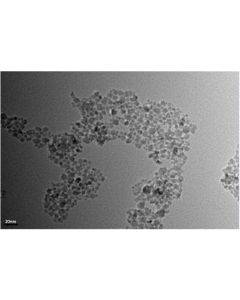 SEM - Scanning Electron Microscopy of TiO2-A-100 anatase titanium dioxide nanoparticles nanopowder/dispersion 10 nm 99.9 %