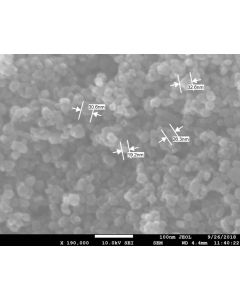 SEM - Scanning Electron Microscopy of TiO2-A-136 anatase titanium dioxide nanoparticles nanopowder/dispersion 10-30 nm/15-25 nm 99.8 %