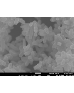 SEM 1/2 - Scanning Electron Microscopy of TiO2-R-100 rutile titanium dioxide nanoparticles nanopowder 80-120 nm 99.99 %