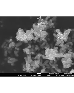 SEM 1/2 - Scanning Electron Microscopy of TiO2-R-139 rutile titanium dioxide nanoparticles nanopowder 80-100 nm 99 %