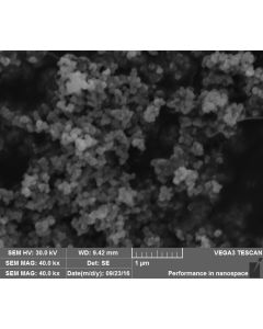 SEM 1/2 - Scanning Electron Microscopy of TiO2-R-145 rutile titanium dioxide nanoparticles nanopowder 100-200 nm 99.99 %