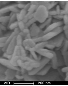 SEM - Scanning Electron Microscopy of WO3-100-Y tungsten oxide nanoparticles nanopowder 50 nm 99.9 % - yellow