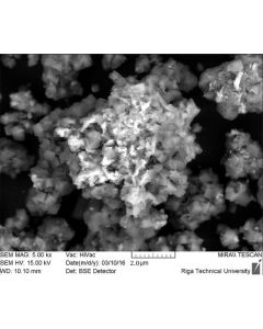 SEM - Scanning Electron Microscopy of Zeo-100 zeolite microparticles nanopowder 500 nm 99.9 %