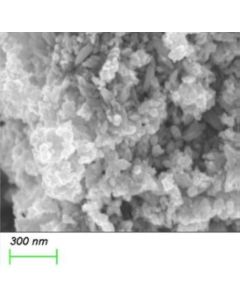 SEM - Scanning Electron Microscopy of ZnO-100-R zinc oxide nanoparticles nanopowder 20-30 nm 99.8 % - rod like