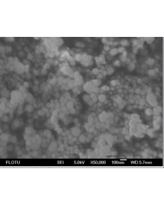SEM - Scanning Electron Microscopy of ZnO-114 zinc oxide nanoparticles nanopowder 100-200 nm 99.9 %