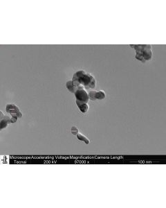 SEM 1/2 - Scanning Electron Microscopy of ZrO2-101 zirconium oxide nanoparticles nanopowder/dispersion 20-40 nm 99.99 % - monoclinic