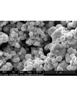 SEM 1/2 - Scanning Electron Microscopy of Ag-100 silver nanoparticles nanopowder 20 nm 99.99 %