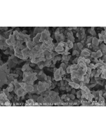 SEM - Scanning Electron Microscopy of CuO-113 copper oxide nanoparticles nanopowder 100 nm 99.9 %