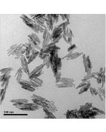 SEM - Scanning Electron Microscopy of Fe3O4-101 iron oxide nanoparticles nanopowder 20-30 nm