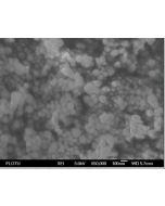 SEM - Scanning Electron Microscopy of Fe3O4-111 iron oxide nanoparticles nanopowder 80 nm 99.5 %