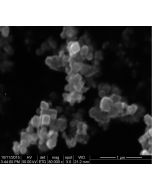 SEM - Scanning Electron Microscopy of Fe3O4-113 iron oxide microparticles nanopowder 300 nm 99.9 %