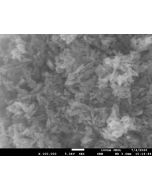 SEM - Scanning Electron Microscopy of TiO2-R-112 rutile titanium dioxide nanoparticles nanopowder/slurry/dispersion 10-20 nm 99.8 %