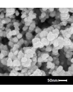 SEM - Scanning Electron Microscopy of Y2O3-112 yttrium oxide nanoparticles nanopowder/dispersion 40 nm 99.99 %
